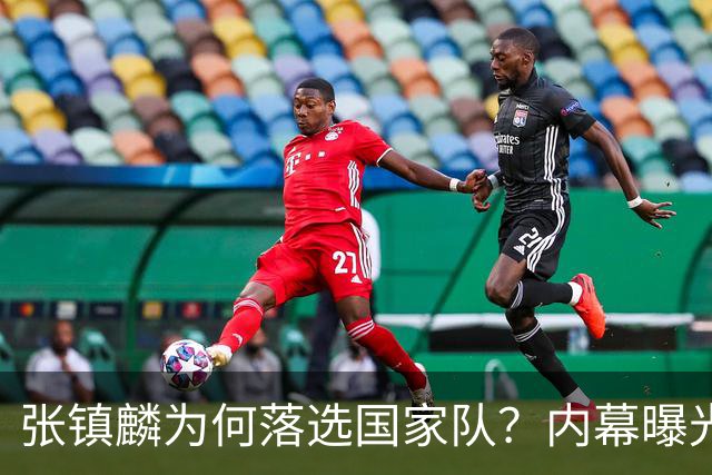张镇麟为何落选国家队？内幕曝光，叫人心疼，郭士强并没放弃他