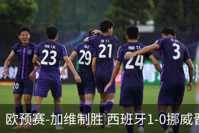 欧预赛-加维制胜 西班牙1-0挪威晋级欧洲杯正赛